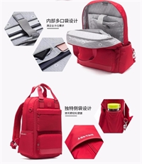 法國(guó)大使DELSEY 多功能電腦包 703707600