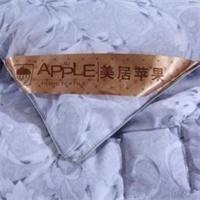 “陽(yáng)絨”磨毛厚愛(ài)被 PG-B2020